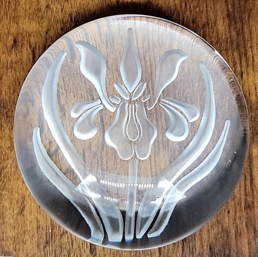 Vintage Signed 1985 Vandermark 0606 Embossed Etched Iris Clear Glass Paperweight